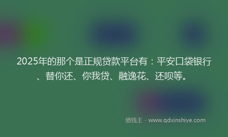 2025年的那个是正规贷款平台有：平安口袋银行、替你还、你我贷、融逸花、还呗等。