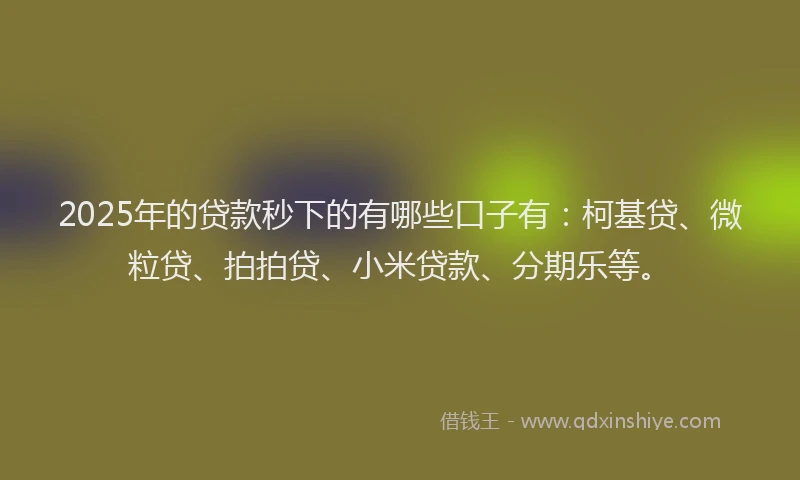 2025年的贷款秒下的有哪些口子有：柯基贷、微粒贷、拍拍贷、小米贷款、分期乐等。