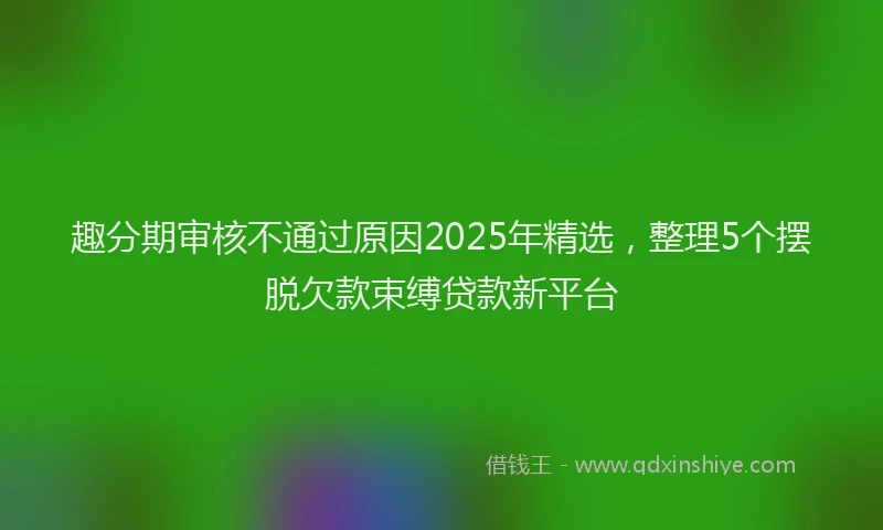 趣分期审核不通过原因2025年精选，整理5个摆脱欠款束缚贷款新平台