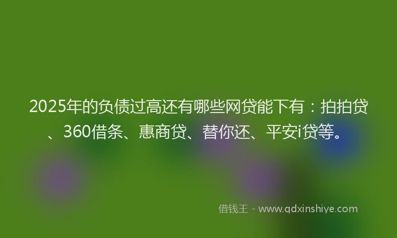 2025年的负债过高还有哪些网贷能下有：拍拍贷、360借条、惠商贷、替你还、平安i贷等。