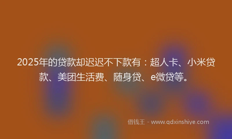 2025年的贷款却迟迟不下款有：超人卡、小米贷款、美团生活费、随身贷、e微贷等。