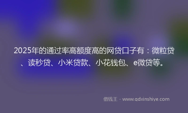 2025年的通过率高额度高的网贷口子有：微粒贷、读秒贷、小米贷款、小花钱包、e微贷等。