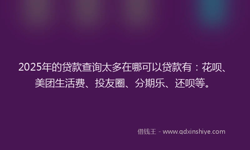 2025年的贷款查询太多在哪可以贷款有：花呗、美团生活费、投友圈、分期乐、还呗等。