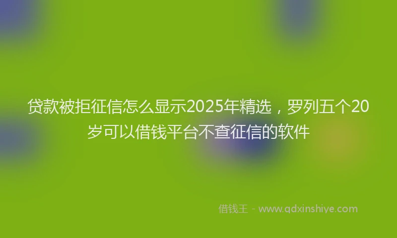 贷款被拒征信怎么显示2025年精选，罗列五个20岁可以借钱平台不查征信的软件