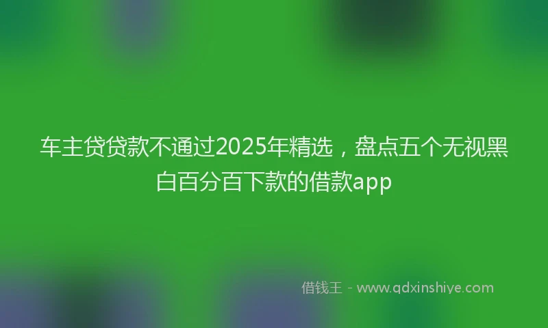 车主贷贷款不通过2025年精选，盘点五个无视黑白百分百下款的借款app