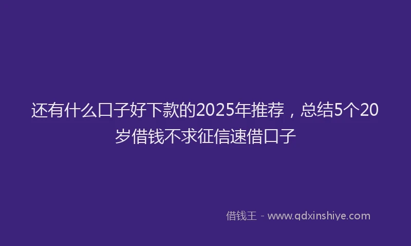 还有什么口子好下款的2025年推荐，总结5个20岁借钱不求征信速借口子