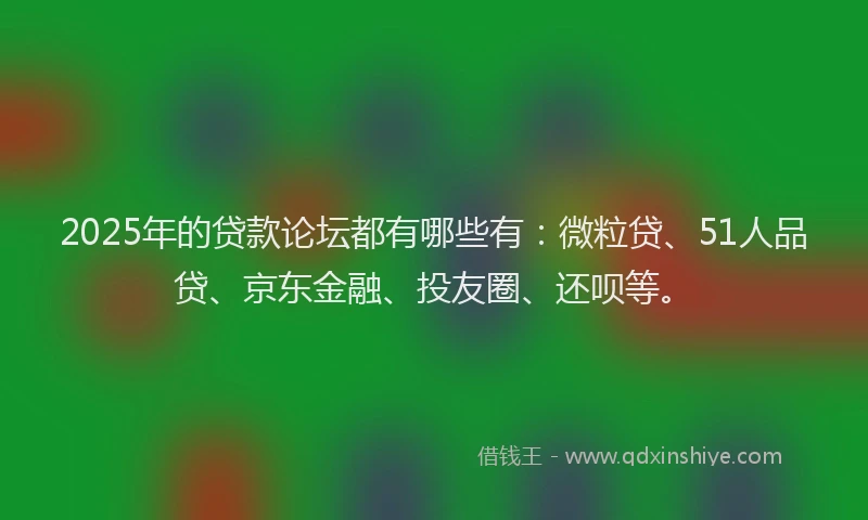 2025年的贷款论坛都有哪些有：微粒贷、51人品贷、京东金融、投友圈、还呗等。