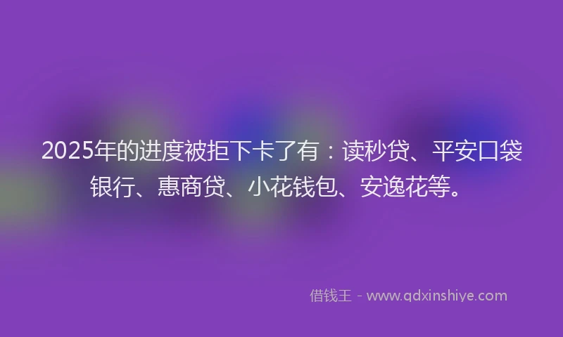 2025年的进度被拒下卡了有：读秒贷、平安口袋银行、惠商贷、小花钱包、安逸花等。