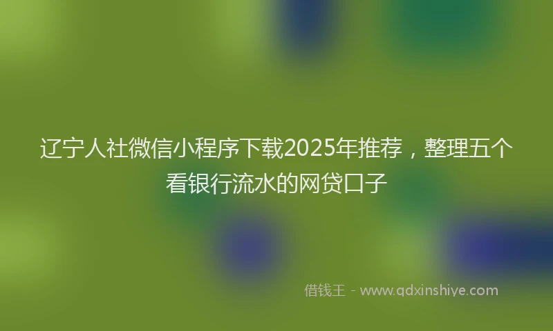 辽宁人社微信小程序下载2025年推荐，整理五个看银行流水的网贷口子