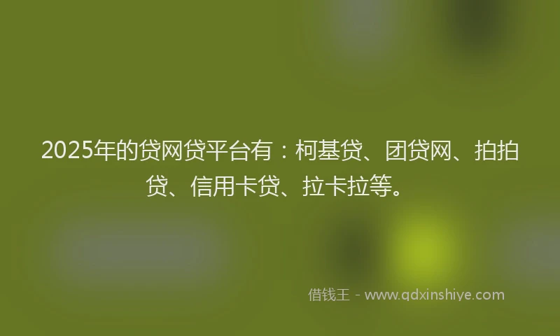 2025年的贷网贷平台有：柯基贷、团贷网、拍拍贷、信用卡贷、拉卡拉等。