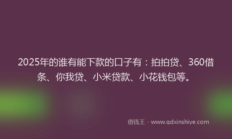 2025年的谁有能下款的口子有：拍拍贷、360借条、你我贷、小米贷款、小花钱包等。
