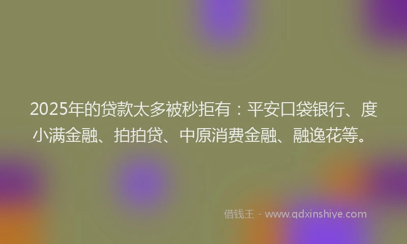 2025年的贷款太多被秒拒有：平安口袋银行、度小满金融、拍拍贷、中原消费金融、融逸花等。