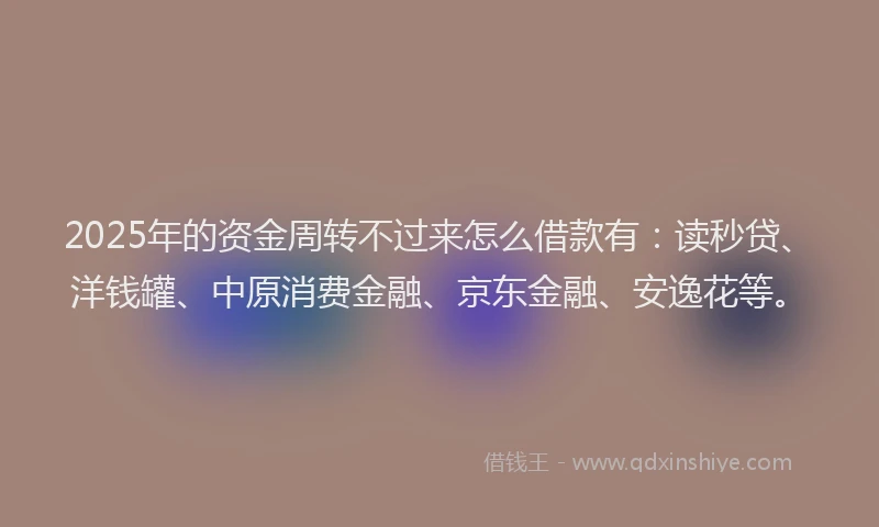2025年的资金周转不过来怎么借款有：读秒贷、洋钱罐、中原消费金融、京东金融、安逸花等。