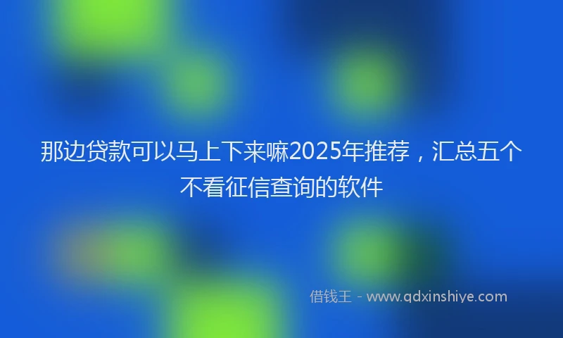 那边贷款可以马上下来嘛2025年推荐，汇总五个不看征信查询的软件