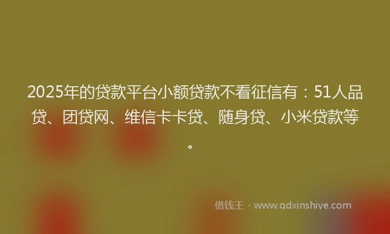 2025年的贷款平台小额贷款不看征信有：51人品贷、团贷网、维信卡卡贷、随身贷、小米贷款等。