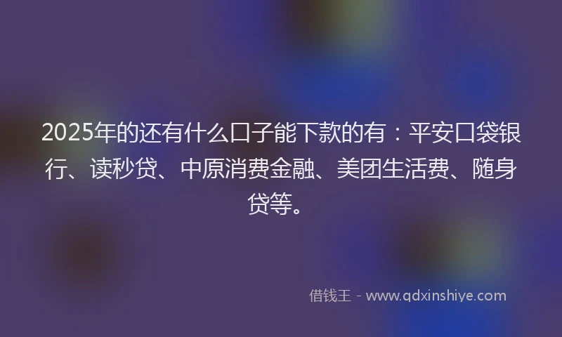 2025年的还有什么口子能下款的有：平安口袋银行、读秒贷、中原消费金融、美团生活费、随身贷等。