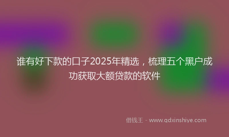 谁有好下款的口子2025年精选，梳理五个黑户成功获取大额贷款的软件