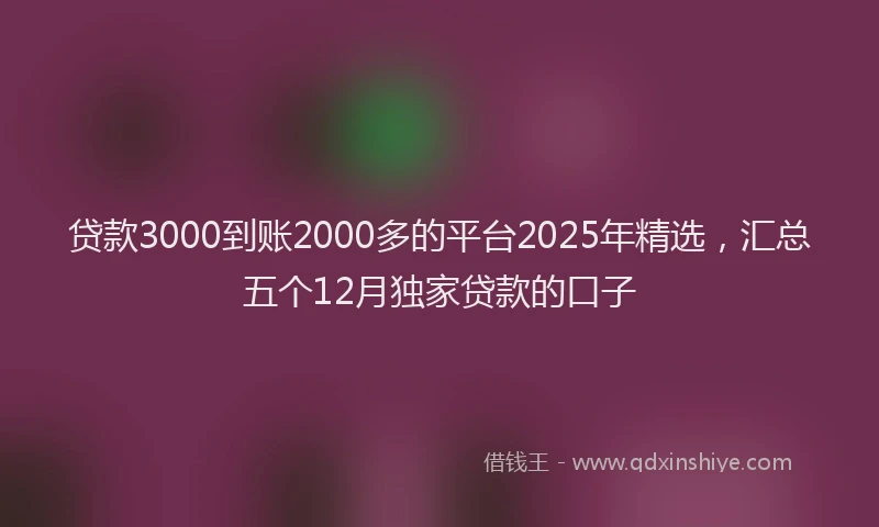 贷款3000到账2000多的平台2025年精选，汇总五个12月独家贷款的口子