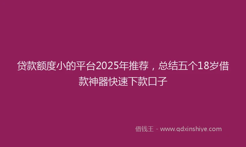 贷款额度小的平台2025年推荐，总结五个18岁借款神器快速下款口子
