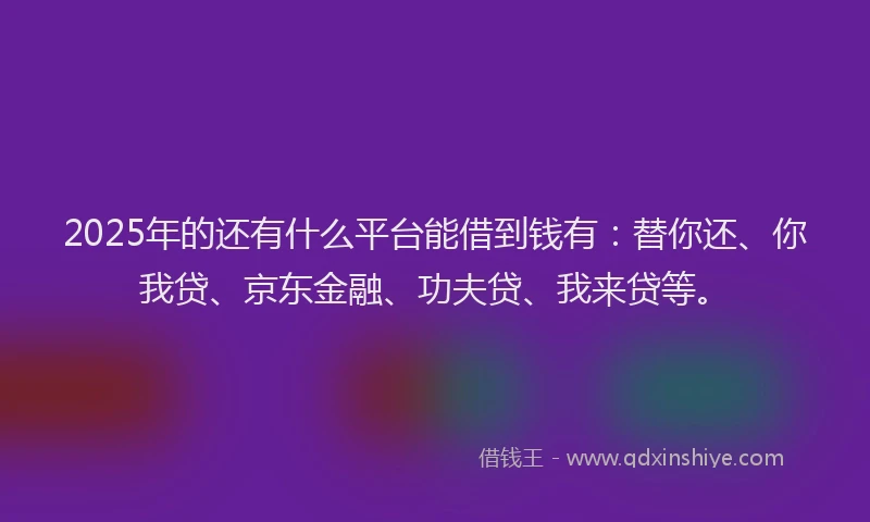 2025年的还有什么平台能借到钱有：替你还、你我贷、京东金融、功夫贷、我来贷等。