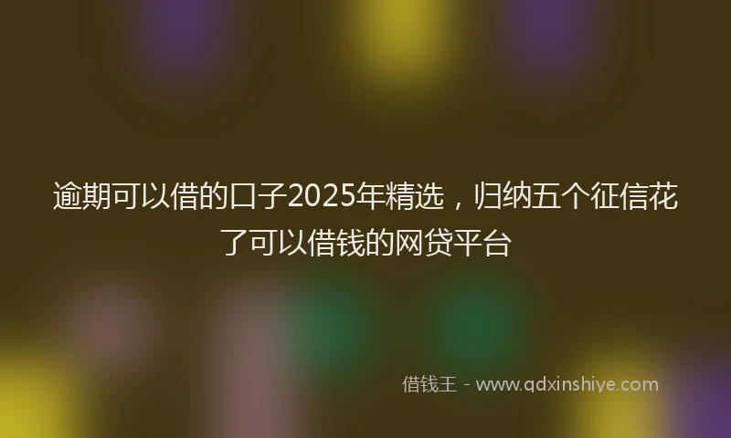 逾期可以借的口子2025年精选，归纳五个征信花了可以借钱的网贷平台