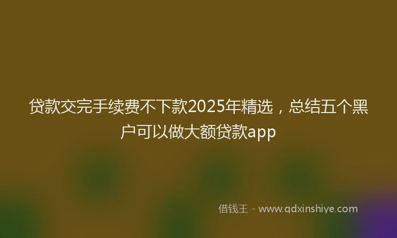 贷款交完手续费不下款2025年精选，总结五个黑户可以做大额贷款app