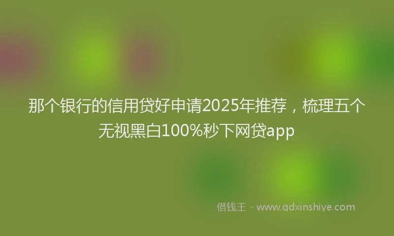 那个银行的信用贷好申请2025年推荐，梳理五个无视黑白100%秒下网贷app