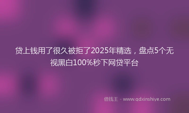 贷上钱用了很久被拒了2025年精选，盘点5个无视黑白100%秒下网贷平台