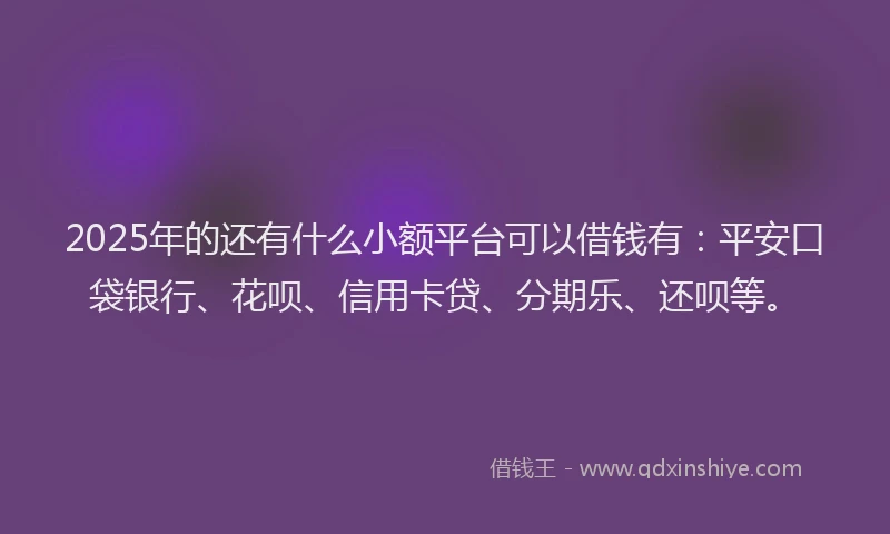 2025年的还有什么小额平台可以借钱有：平安口袋银行、花呗、信用卡贷、分期乐、还呗等。