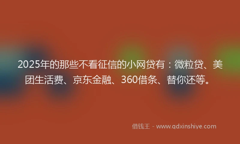 2025年的那些不看征信的小网贷有：微粒贷、美团生活费、京东金融、360借条、替你还等。
