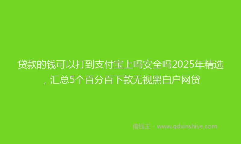 贷款的钱可以打到支付宝上吗安全吗2025年精选，汇总5个百分百下款无视黑白户网贷
