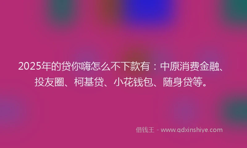 2025年的贷你嗨怎么不下款有：中原消费金融、投友圈、柯基贷、小花钱包、随身贷等。