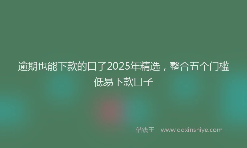 逾期也能下款的口子2025年精选，整合五个门槛低易下款口子