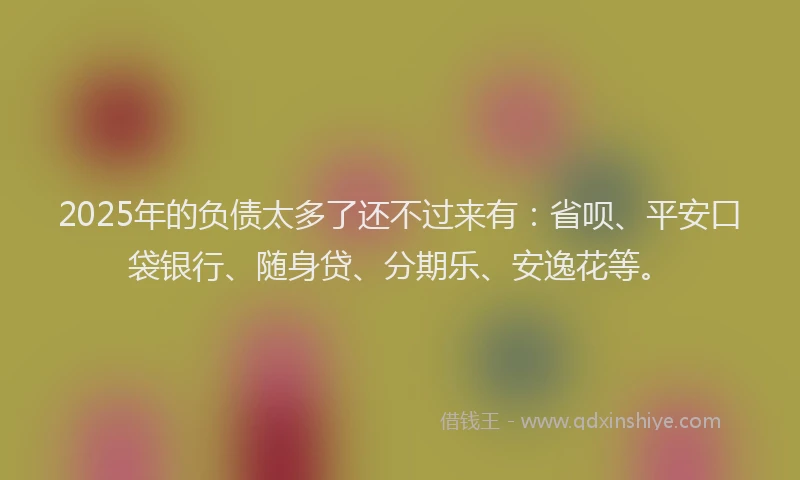 2025年的负债太多了还不过来有：省呗、平安口袋银行、随身贷、分期乐、安逸花等。