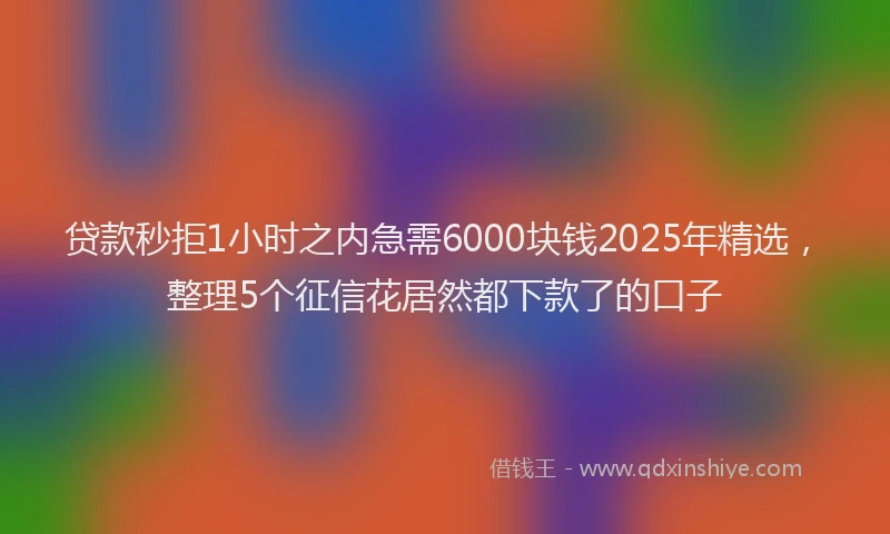 贷款秒拒1小时之内急需6000块钱2025年精选，整理5个征信花居然都下款了的口子