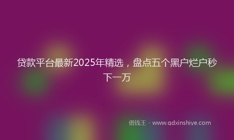 贷款平台最新2025年精选，盘点五个黑户烂户秒下一万