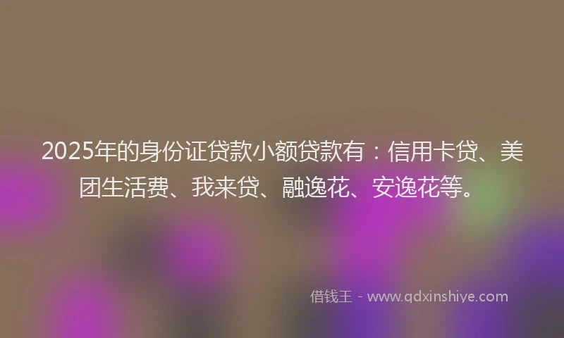 2025年的身份证贷款小额贷款有：信用卡贷、美团生活费、我来贷、融逸花、安逸花等。