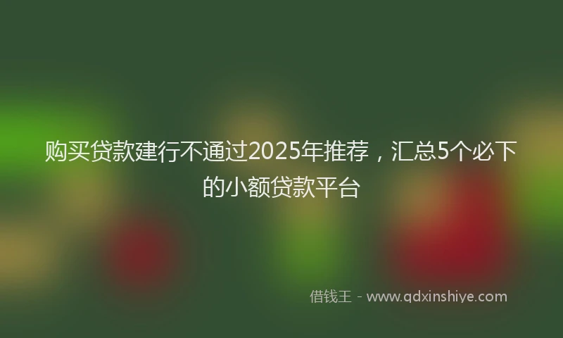 购买贷款建行不通过2025年推荐，汇总5个必下的小额贷款平台