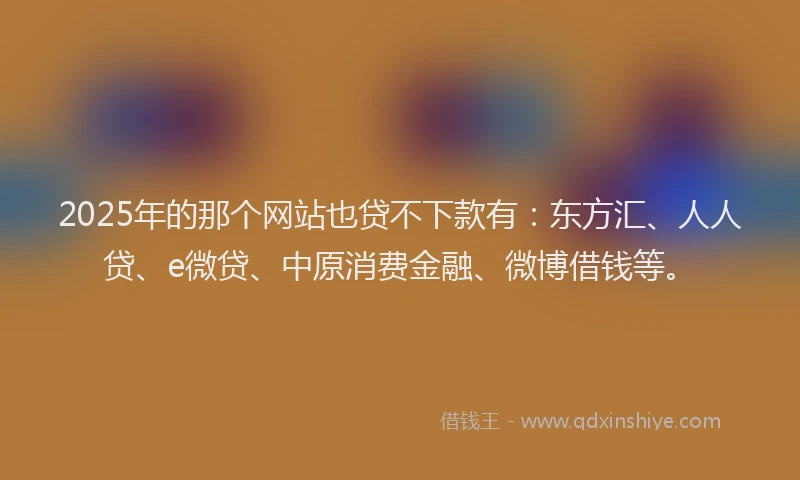 2025年的那个网站也贷不下款有：东方汇、人人贷、e微贷、中原消费金融、微博借钱等。