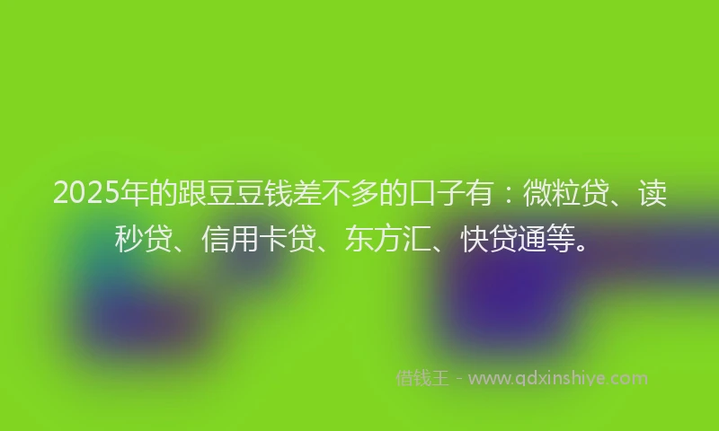 2025年的跟豆豆钱差不多的口子有：微粒贷、读秒贷、信用卡贷、东方汇、快贷通等。