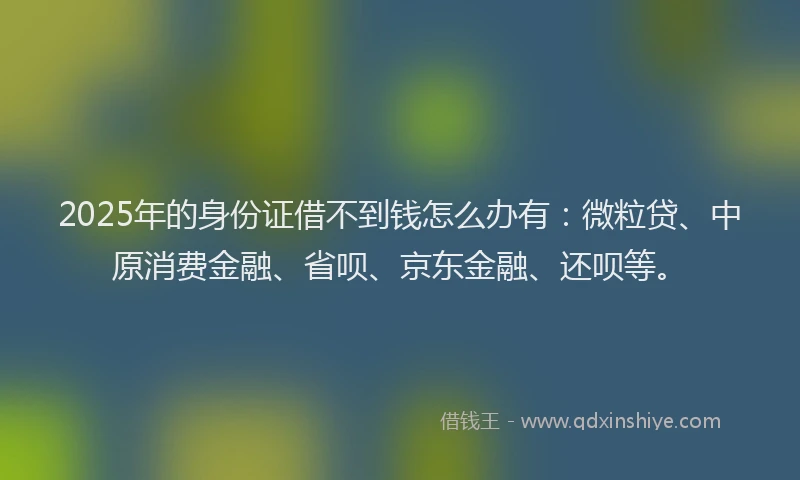 2025年的身份证借不到钱怎么办有：微粒贷、中原消费金融、省呗、京东金融、还呗等。