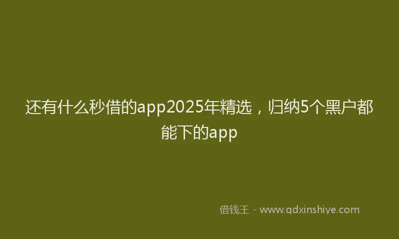 还有什么秒借的app2025年精选，归纳5个黑户都能下的app