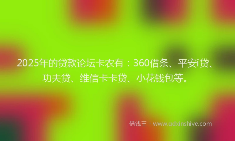 2025年的贷款论坛卡农有：360借条、平安i贷、功夫贷、维信卡卡贷、小花钱包等。
