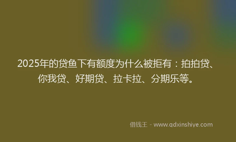 2025年的贷鱼下有额度为什么被拒有：拍拍贷、你我贷、好期贷、拉卡拉、分期乐等。