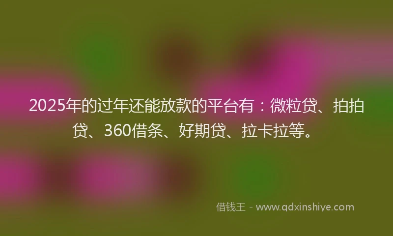 2025年的过年还能放款的平台有：微粒贷、拍拍贷、360借条、好期贷、拉卡拉等。