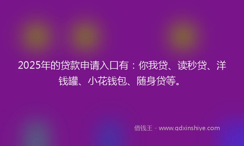 2025年的贷款申请入口有：你我贷、读秒贷、洋钱罐、小花钱包、随身贷等。