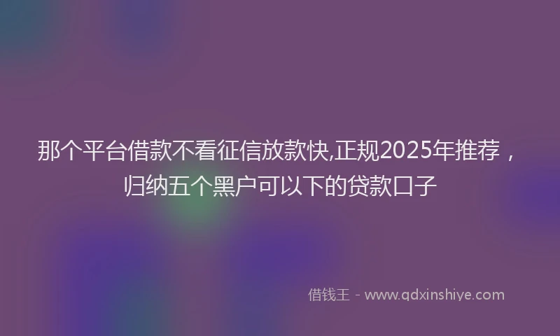 那个平台借款不看征信放款快,正规2025年推荐，归纳五个黑户可以下的贷款口子