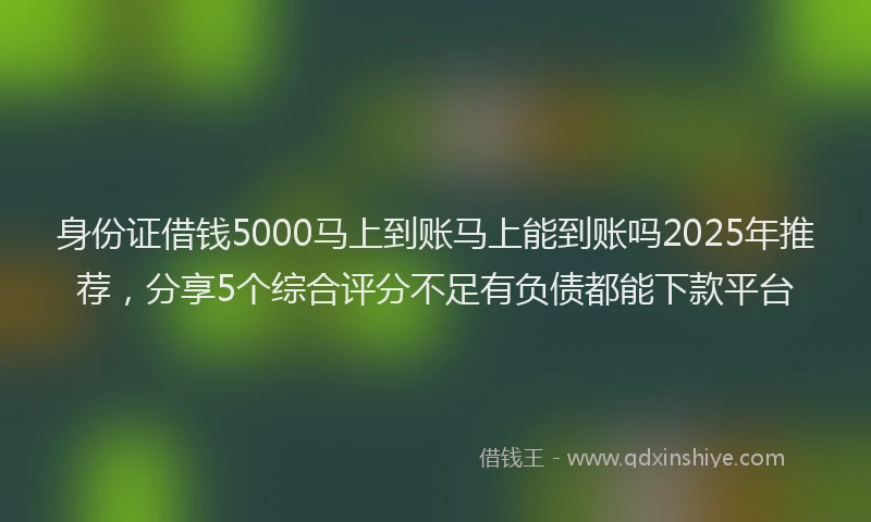 身份证借钱5000马上到账马上能到账吗2025年推荐，分享5个综合评分不足有负债都能下款平台