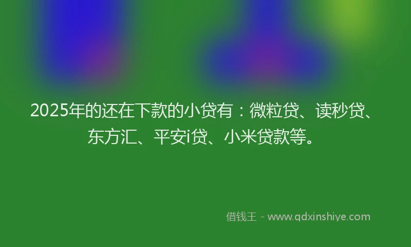 2025年的还在下款的小贷有：微粒贷、读秒贷、东方汇、平安i贷、小米贷款等。