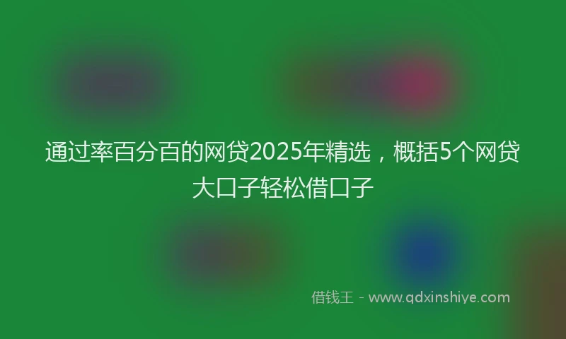 通过率百分百的网贷2025年精选，概括5个网贷大口子轻松借口子